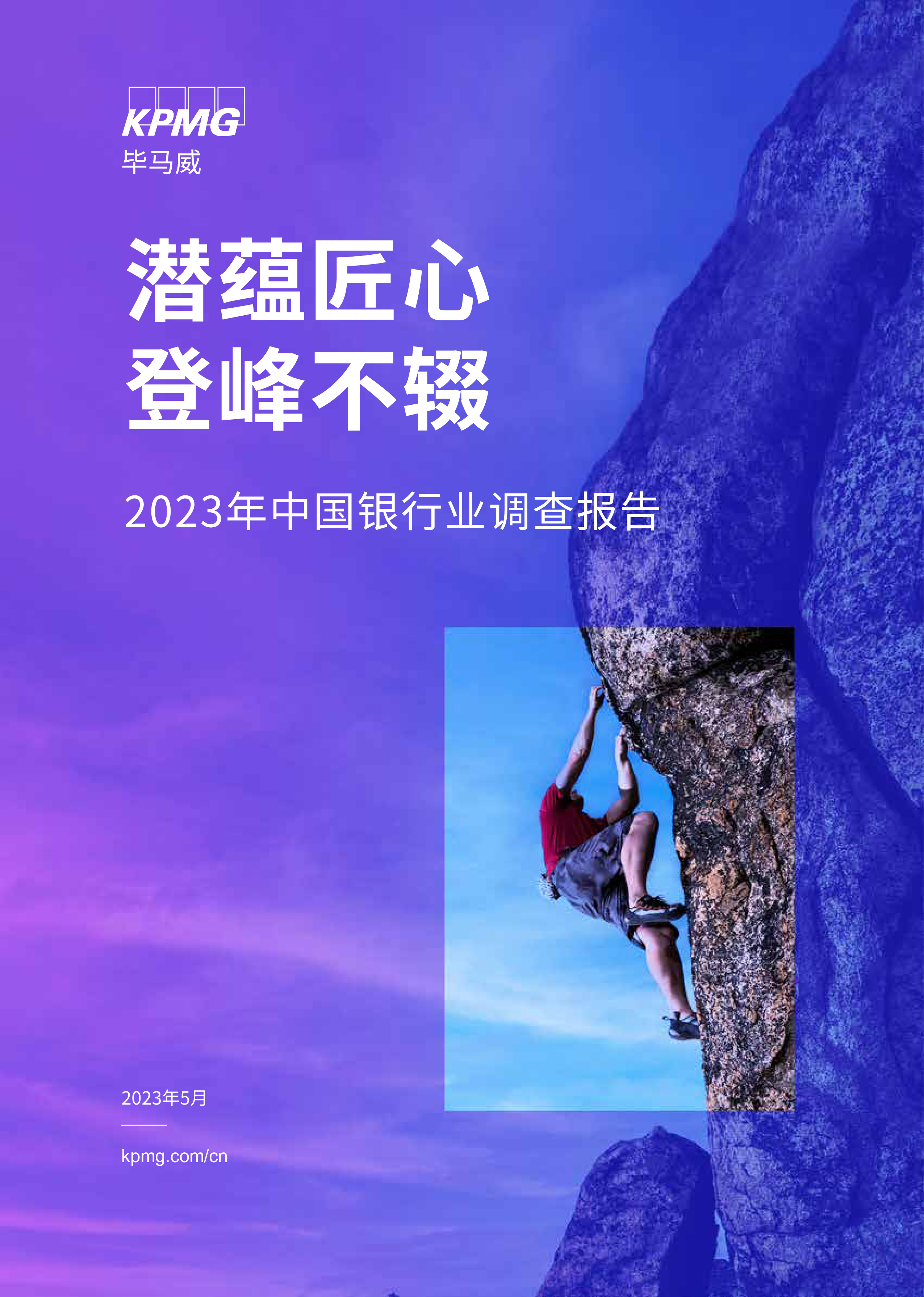毕马威:2023年中国银行业调查报告